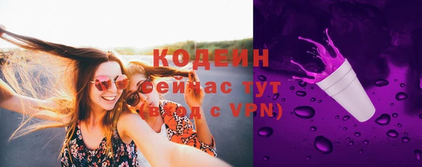 спиды Каменногорск