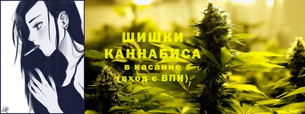 2c-b Карпинск