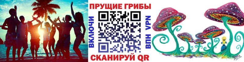 хочу наркоту  Красный Кут  Галлюциногенные грибы прущие грибы 
